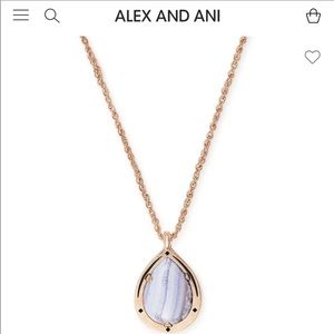 Blue Lace Agate Necklace Alex and Ani